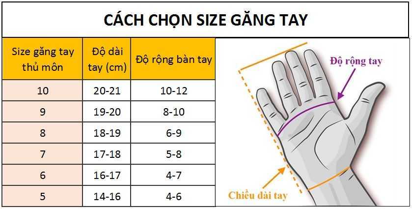 size găng tay kelme